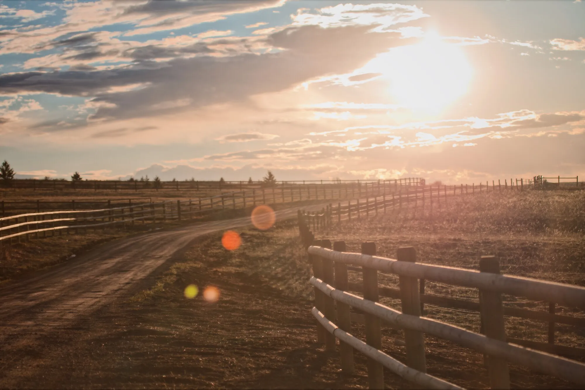 Up the barn road and into the sunset